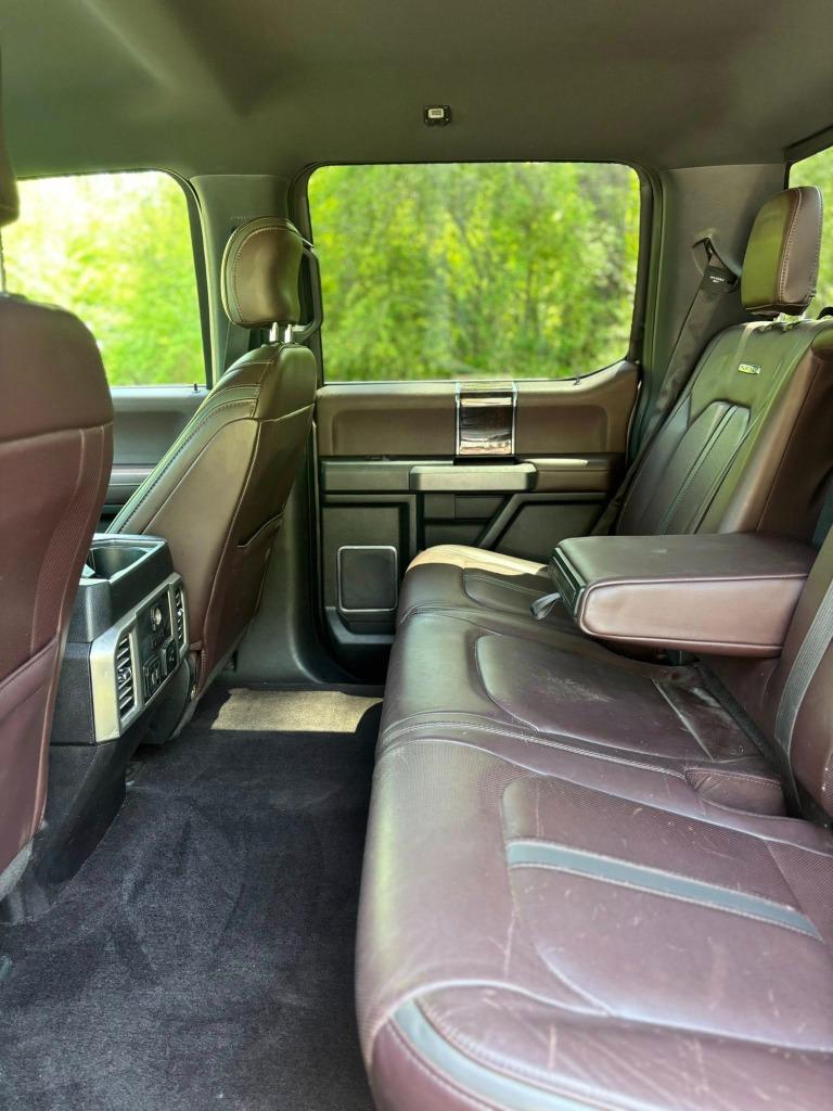2017 Ford F-150 Platinum - Photo 10