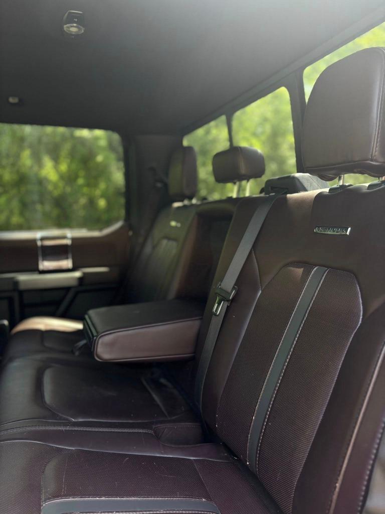 2017 Ford F-150 Platinum - Photo 9